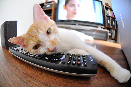 世界各地举办足球慈善赛,传递爱心力量,足球公益项目